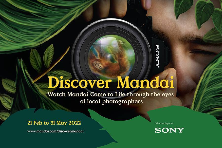Discover Mandai