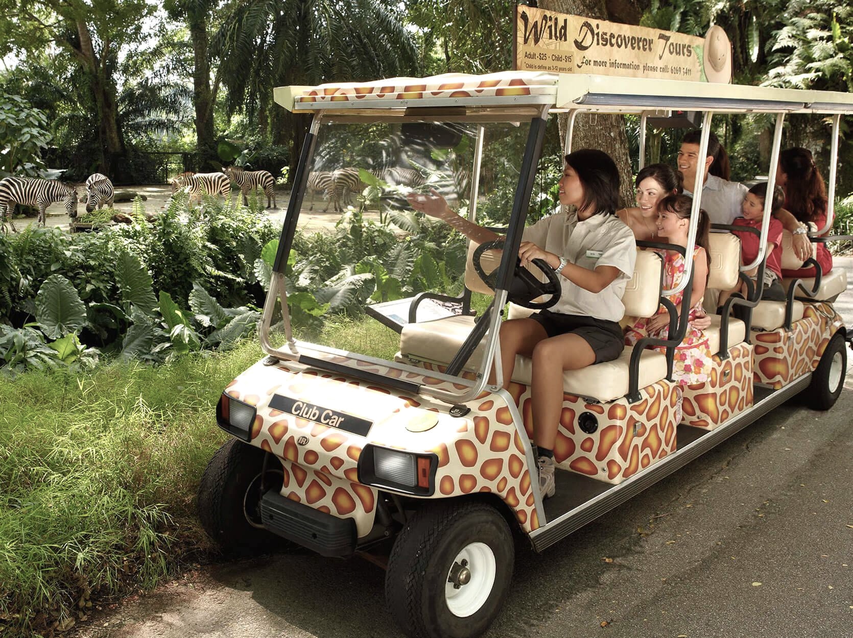 Private Buggy Tour